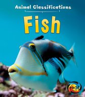 Animal Classifications - Fish