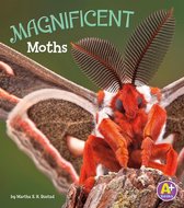 Bugs Are Beautiful! - Magnificent Moths