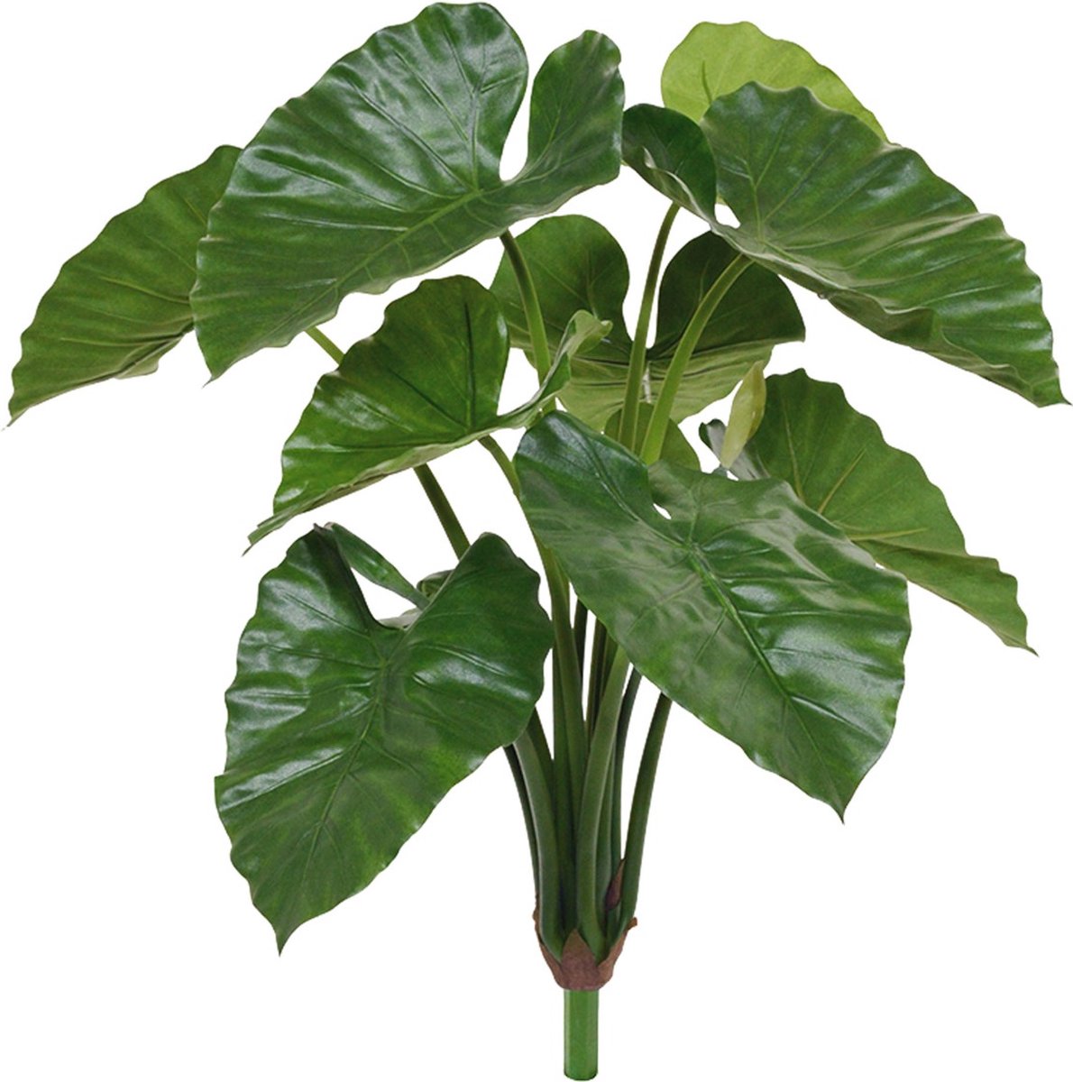 Designplants Alocasia Calidora Kunstplant 70