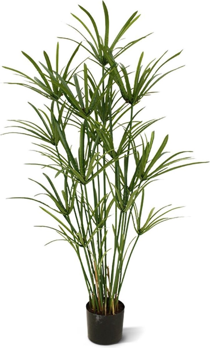 maxifleur Kunstplanten Papyrus deluxe kunstplant 135cm Groen
