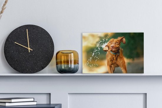 Canvas Schilderij Nat - Hond - Water - 30x20 cm - Wanddecoratie