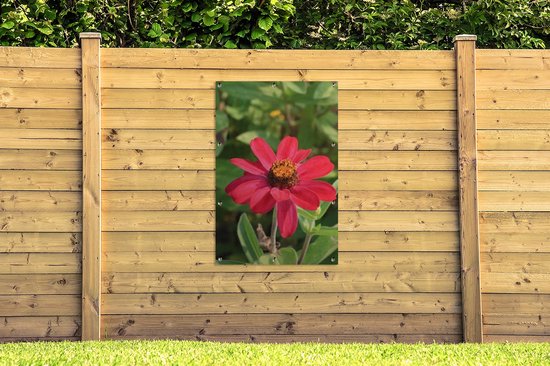 Affiche de jardin fleur de zinnia rouge 80x120 cm - Toile de jardin / Toile d'extérieur / Peintures pour l'extérieur (décoration de jardin)