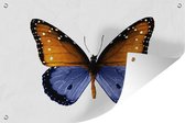 Tuindecoratie Vlinder - Stippen - Blauw - 60x40 cm - Tuinposter - Tuindoek - Buitenposter