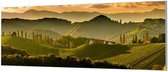 HalloFrame - Schilderij - Toscane Panorama Wand-beugels - Zwart - 210 X 70 Cm
