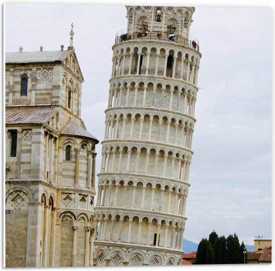 Forex - Toren van Pisa - 50x50cm Foto op Forex