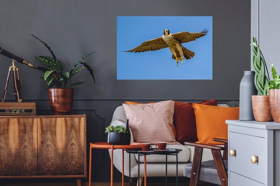Stickers Stickers muraux - Faucon pèlerin - Ciel - Oiseau de proie - 90x60 cm - Film adhésif