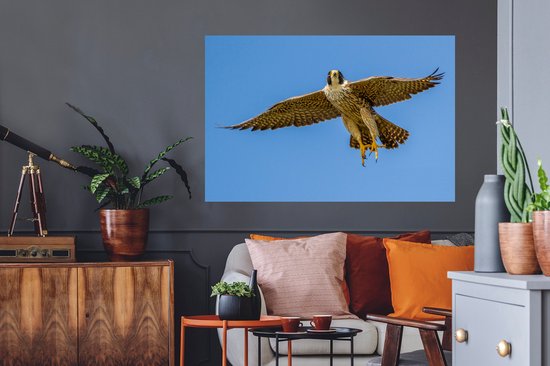 Stickers muraux - Sticker Foil - Faucon Pèlerin - Ciel - Oiseau de Proie - 120x80 cm - Film Adhésif - Stickers muraux Chambre d'Enfant - Papier Peint Auto Adhésif