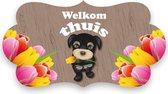 Witbaard Huldeschild Welkom Thuis 42 X 22 Cm Karton Bruin