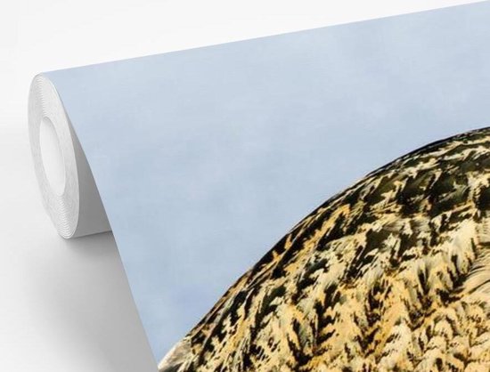 Papier peint photo vinyle - Un butor marche sur la glace largeur 330 cm x hauteur 220 cm - Tirage photo sur papier peint (disponible en 7 tailles)