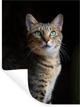 Stickers Stickers muraux - Chat tigré - 120x160 cm - Feuille adhésive XXL