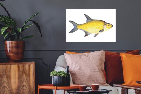 Stickers Stickers muraux - Poisson - Dorade - Réalisme - 60x40 cm - Feuille adhésive