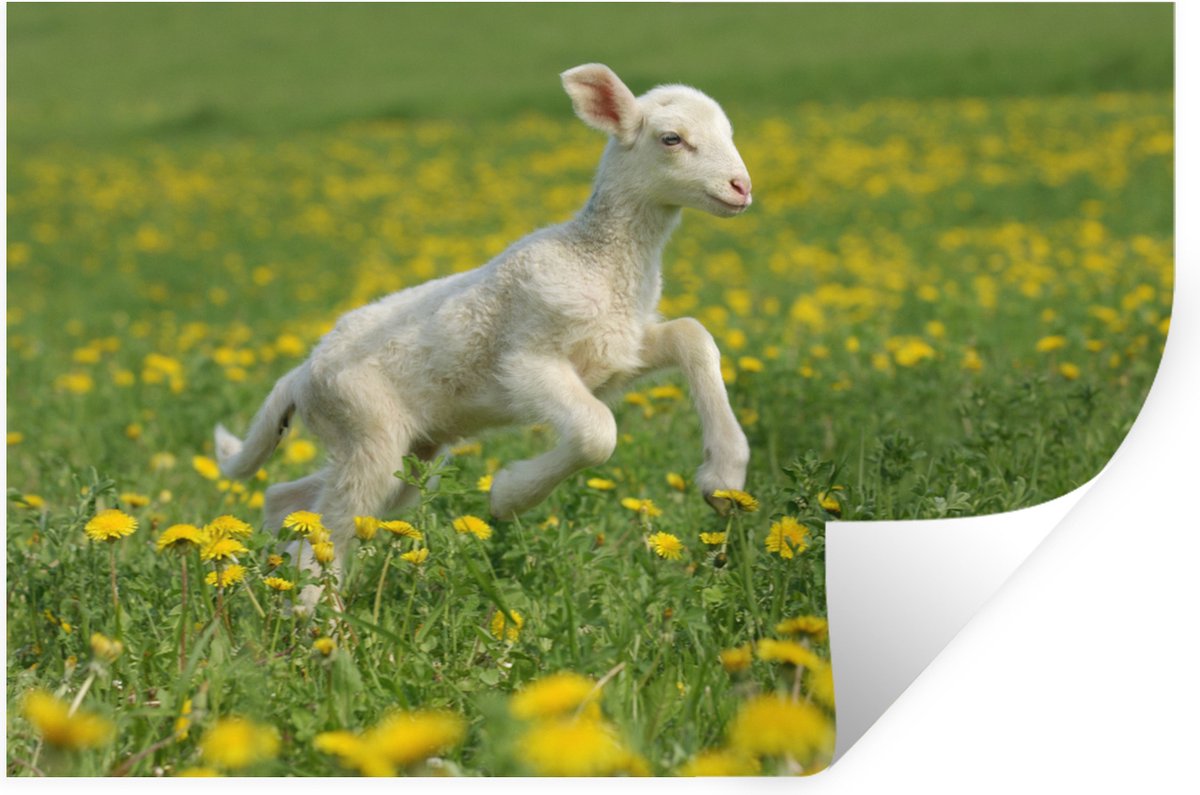 Muurstickers - Sticker Folie - Schaap - Bloemen - Geel - 30x20 cm - Plakfolie - Muursticke
