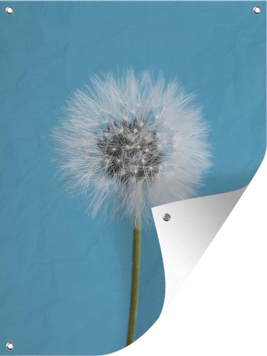 Tuinposter - Tuindoek - Tuinposters buiten - Bloemen - Paardenbloem - Blauw - 90x120 cm - Tuin