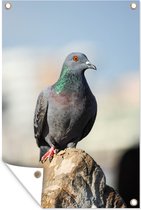 Un pigeon est assis sur une affiche de jardin en pierre 120x180 cm - Toile de jardin / Toile d'extérieur / Peintures d'extérieur (décoration de jardin) XXL / Groot format!