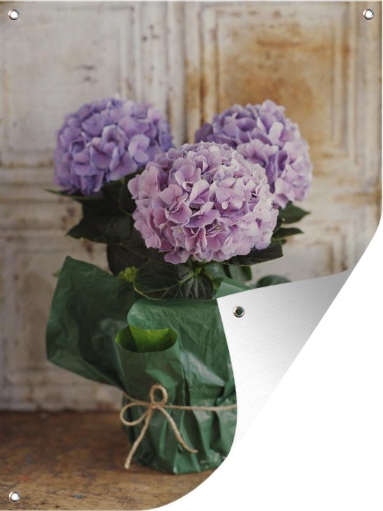 Blauwe Hydrangea Hortensia's Met De Ruimte Van Het Exemplaar Stock Blauwe Hydrangea Hortensia's Met De Ruimte Van Het Exemplaar Stock