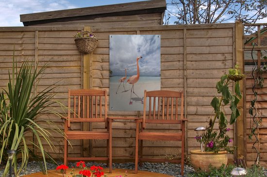 Deux flamants roses sur une île à Aruba affiche de jardin toile en vrac 40x60 cm - petit - toile de jardin / toile d'extérieur / Peintures pour l'extérieur (décoration de jardin)