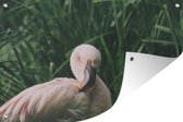 Muurdecoratie Een flamingo staat tussen het gras - 180x120 cm - Tuinposter - Tuindoek - Buitenposter