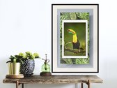 Artgeist - Schilderij - Toucan In The Frame - Multicolor - 20 X 30 Cm