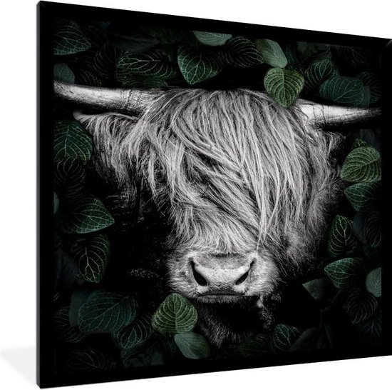 Fotolijst incl. Poster Zwart Wit- Schotse Hooglander - Portret - Bladeren - Zwart wit - 30x40 cm - Posterlijst