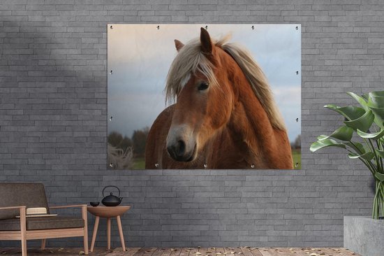 Haflinger cheval au pâturage affiche de jardin toile en vrac 160x120 cm - Toile de jardin / Toile d'extérieur / Peintures d'extérieur (décoration de jardin) XXL / Groot format!