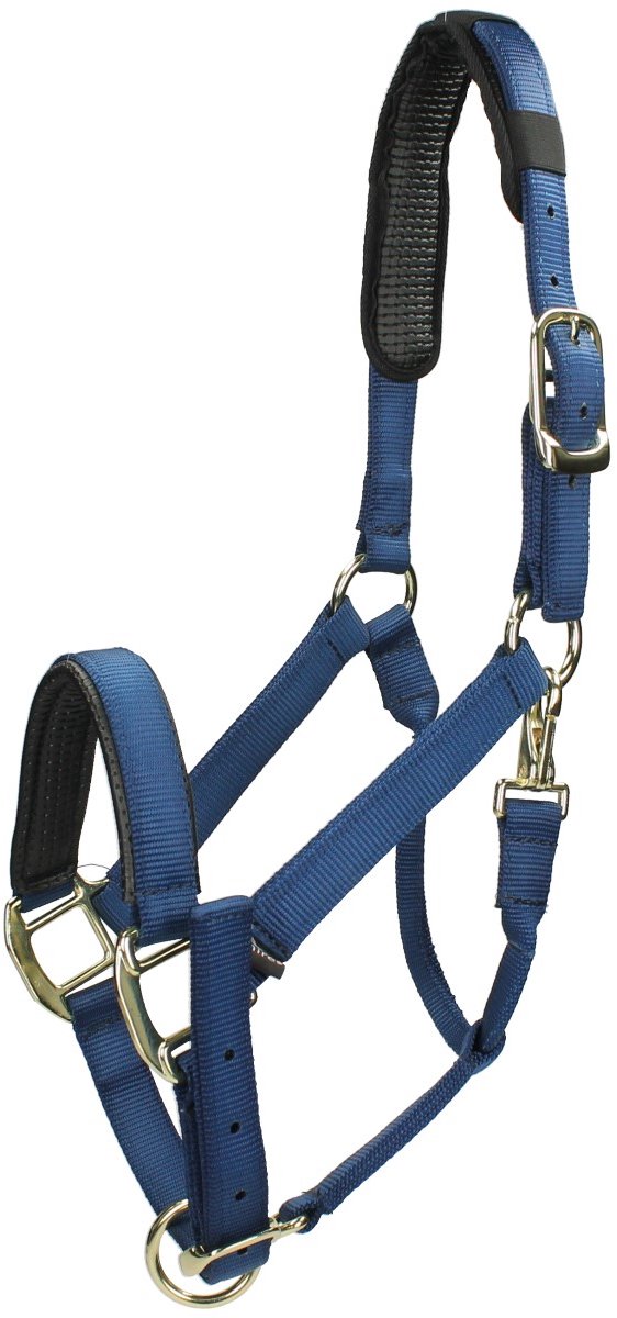 Shires Halster Shires Nylon Topaz Donkerblauw