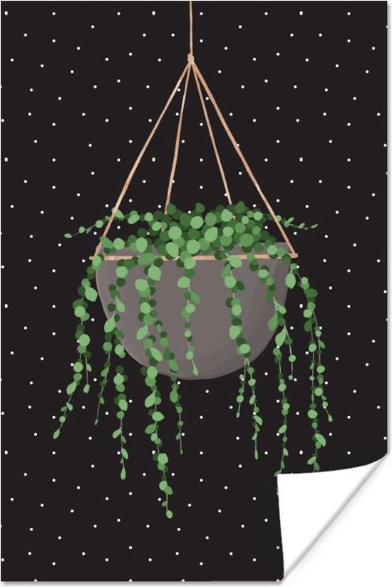 Illustratie van een hangende erwtenplant op een zwarte achtergrond met witte stippen 80x120 cm - Foto print op Poster (wanddecoratie woonkamer / slaapkamer)
