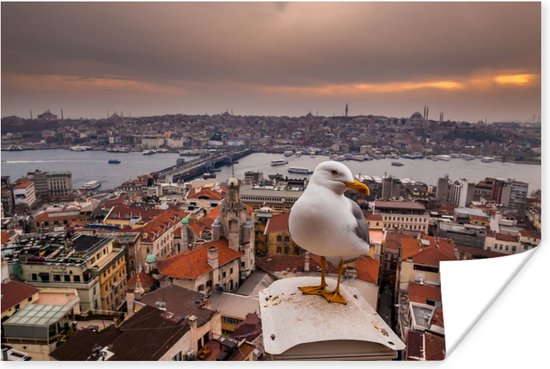 Meeuw op Galatatoren in Istanbul 60x40 cm - Foto print op Poster (wanddecoratie woonkamer / slaapkamer)