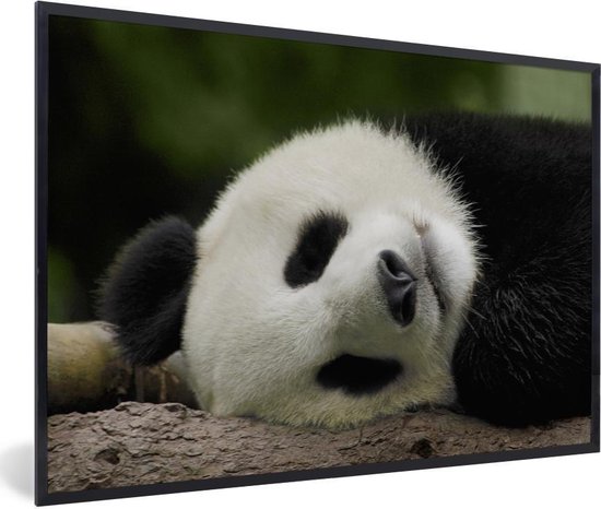 Panda endormi 120x80 cm