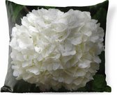 Buitenkussens - Tuin - Witte hortensia - 60x60 cm