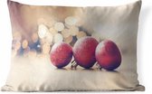 Buitenkussens - Tuin - Drie rode kerstballen en kerstverlichting - 60x40 cm