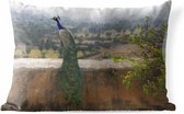 Buitenkussens - Tuin - Een groene pauw kijkt uit over de natuur vanaf een stenen muur - 60x40 cm