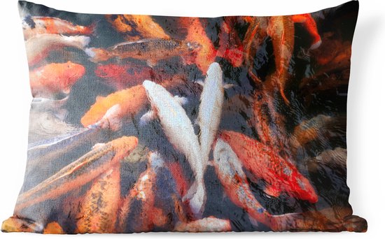 Buitenkussens - Tuin - Een vijver met koi karpers van bovenaf - 50x30 cm