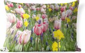 Buitenkussens - Tuin - Een veld met tulpen, narcissen en blauwe druiven - 60x40 cm