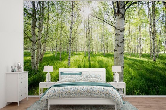 Papier peint - Papier peint photo Bouleau - Forêt - Printemps - Largeur 450 cm x hauteur 300 cm