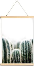JUNIQE - Posterhanger Cactus 1 -40x60 /Groen & Wit