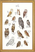 JUNIQE - Poster met houten lijst Uilen illustratie -13x18 /Bruin & Wit