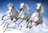 Paarden Kalender 2022 A3