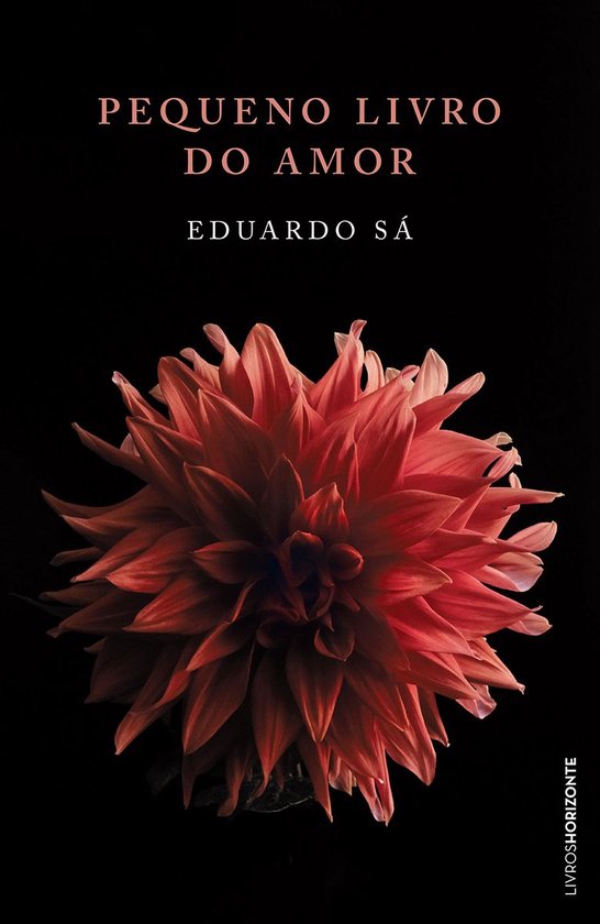 Pequeno Livro do Amor - cover