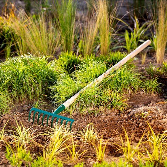 KADAX Hark van metaal, platte hark met steel van hout, bladbezem voor tuin, bloembed, bladbreken, gazonhark, groen, tuingereedschap, hooikoork, tuingereedschap, hark (10 tanden) van KADAX — afbeelding 2