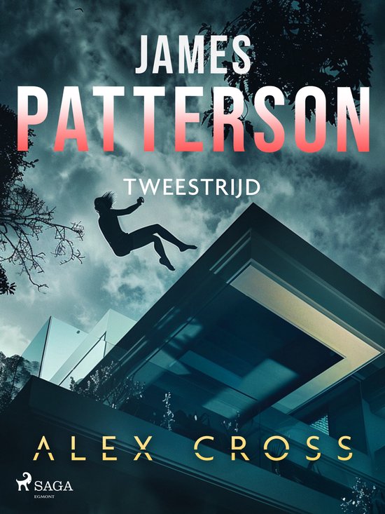 Alex Cross 13 - Tweestrijd - cover