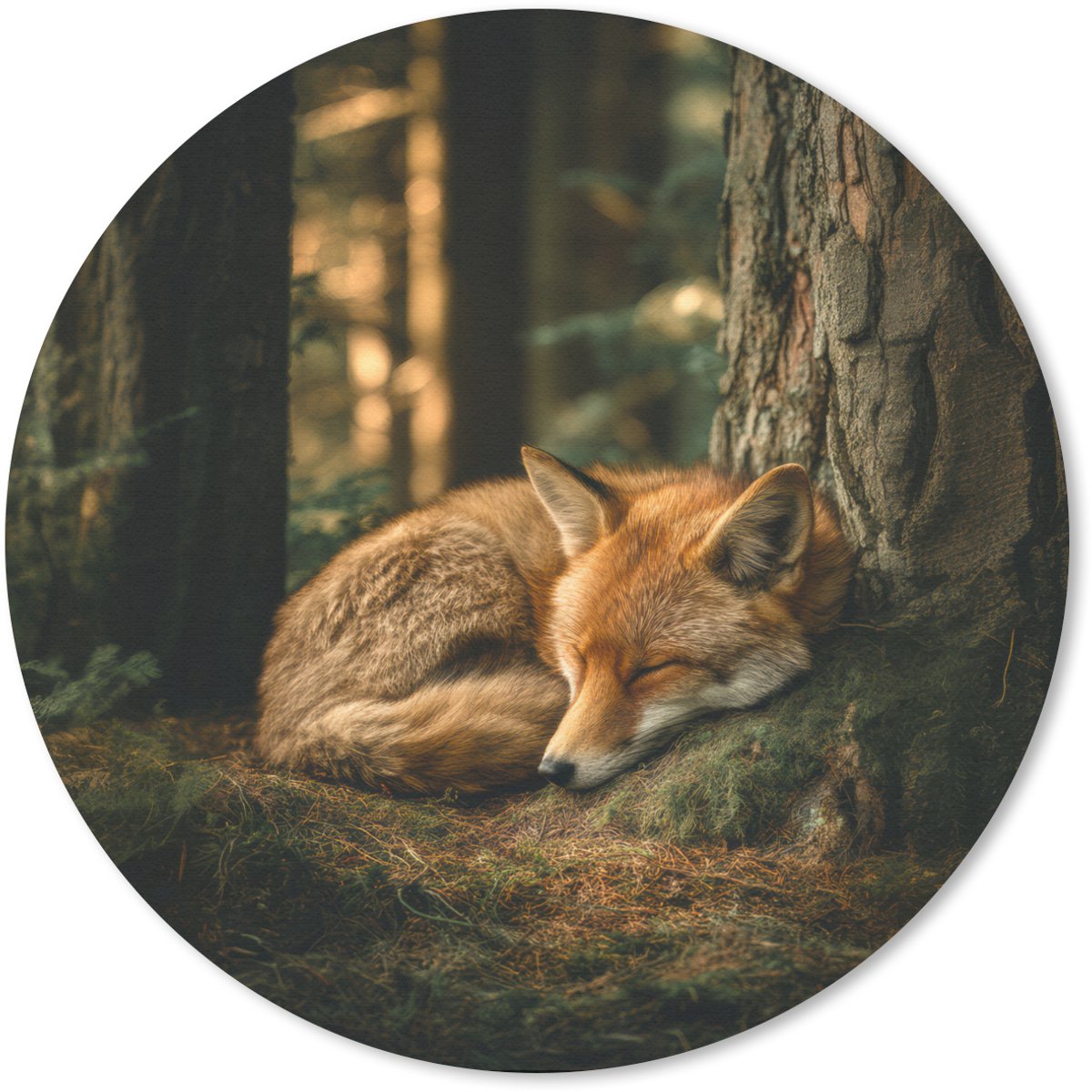 Muismat rond 30x30 cm - Mousepad Vos - Bos - Slapen - Ronde muismatten
