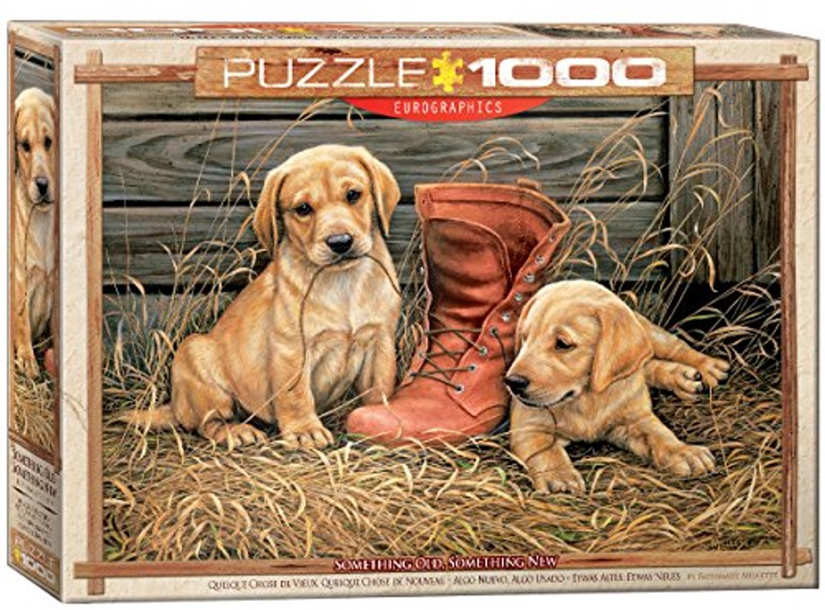 Oude en nieuwe themapuzzel van 1000 stukken