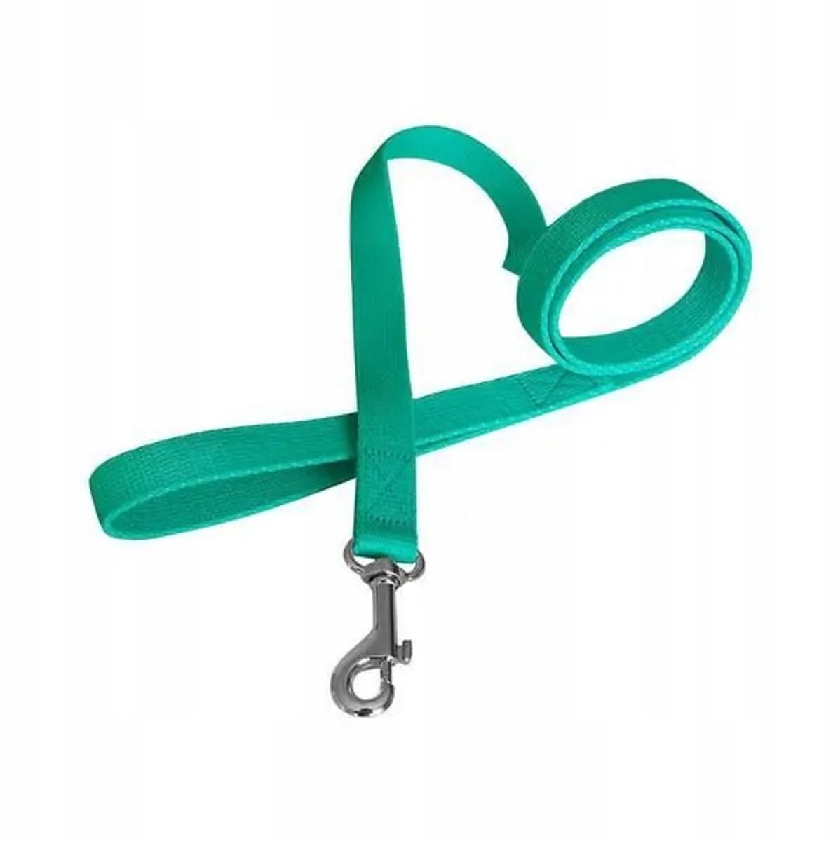 Mintgroene Hondenlijn 1,3m x 3cm - Stevig en Comfortabel