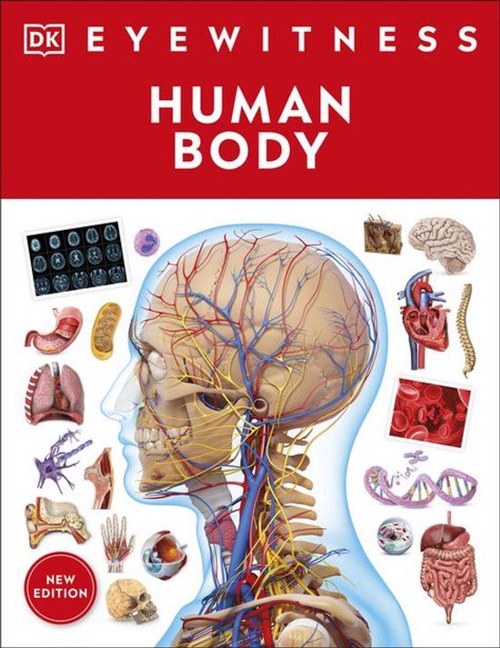DK Eyewitness - Human Body - cover