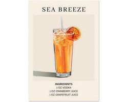 Sea Breeze cocktail - Ingrediënten poster 70x100 cm