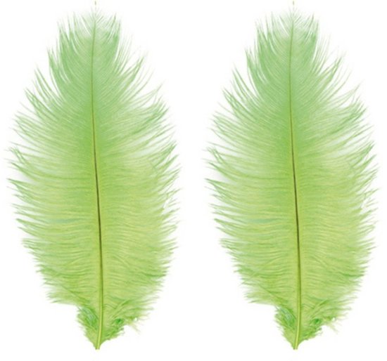 Twee lichtgroene struisvogelveren, 30-35 cm lang, met een donkere steel.