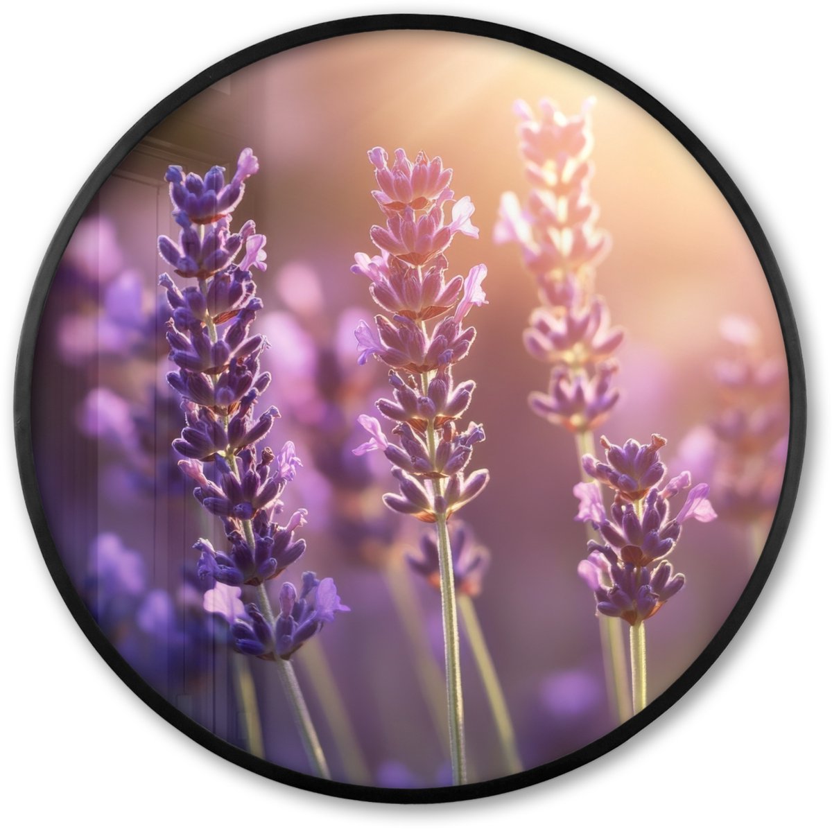 FrameYourWall Poster in lijst Rond - Fotolijst 60x60 cm - Posters - Lavendelbloemen - Paars - Zonlicht - Ronde posterlijst zwart - Decoratie - Wanddecoratie woonkamer - Muurdecoratie slaapkamer