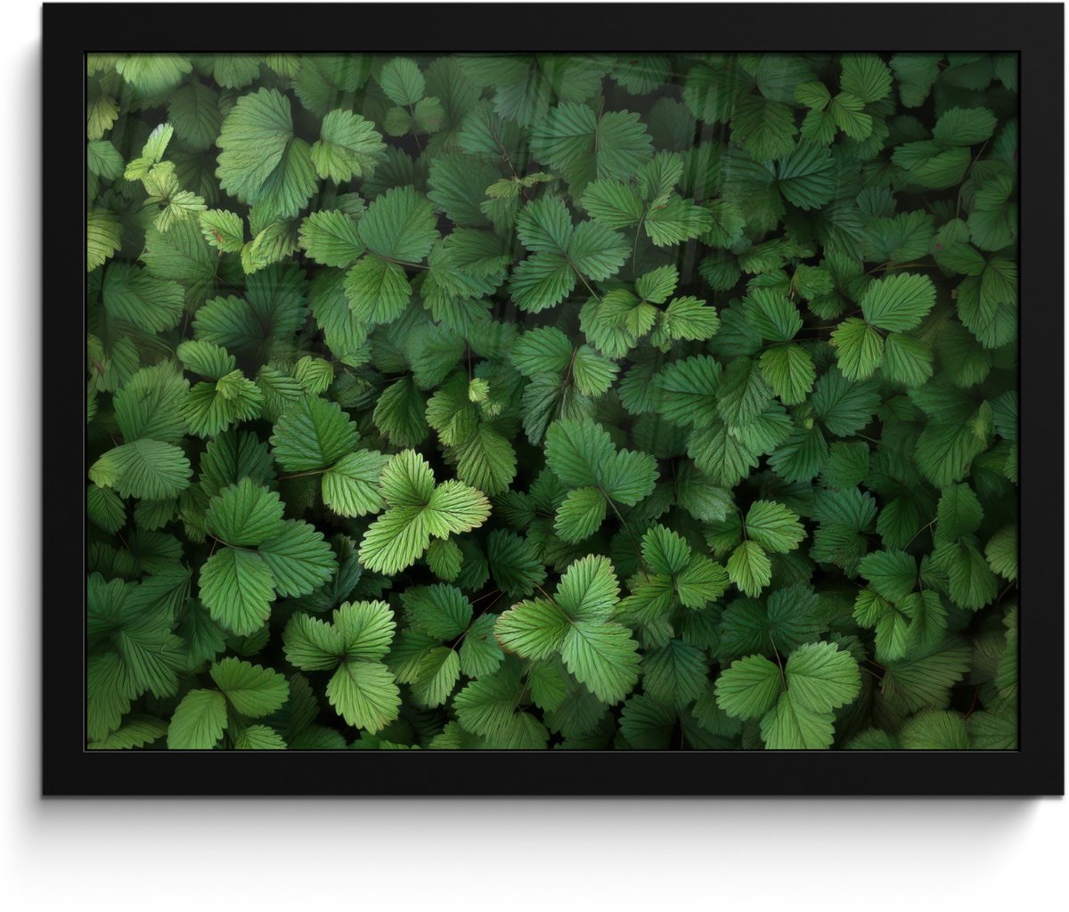 FrameYourWall Poster in lijst - Fotolijst 40x30 cm - Posters - Groen - Bladeren - Kartel - Zonlicht - Posterlijst zwart - Decoratie - Wanddecoratie woonkamer - Muurdecoratie slaapkamer