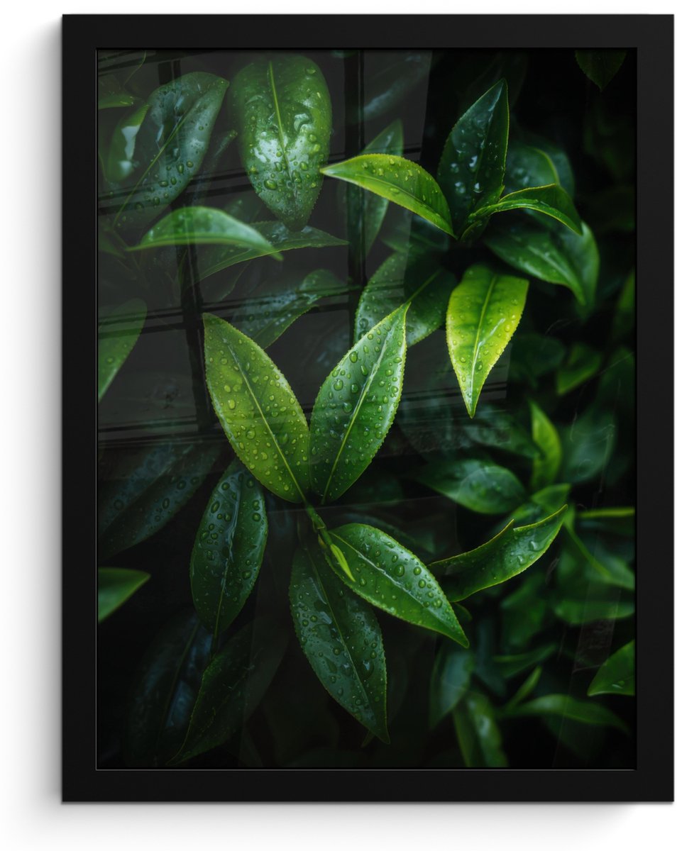 FrameYourWall Poster in lijst - Fotolijst 30x40 cm - Posters - Bladeren - Regendruppels - Licht - Groen - Posterlijst zwart - Decoratie - Wanddecoratie woonkamer - Muurdecoratie slaapkamer