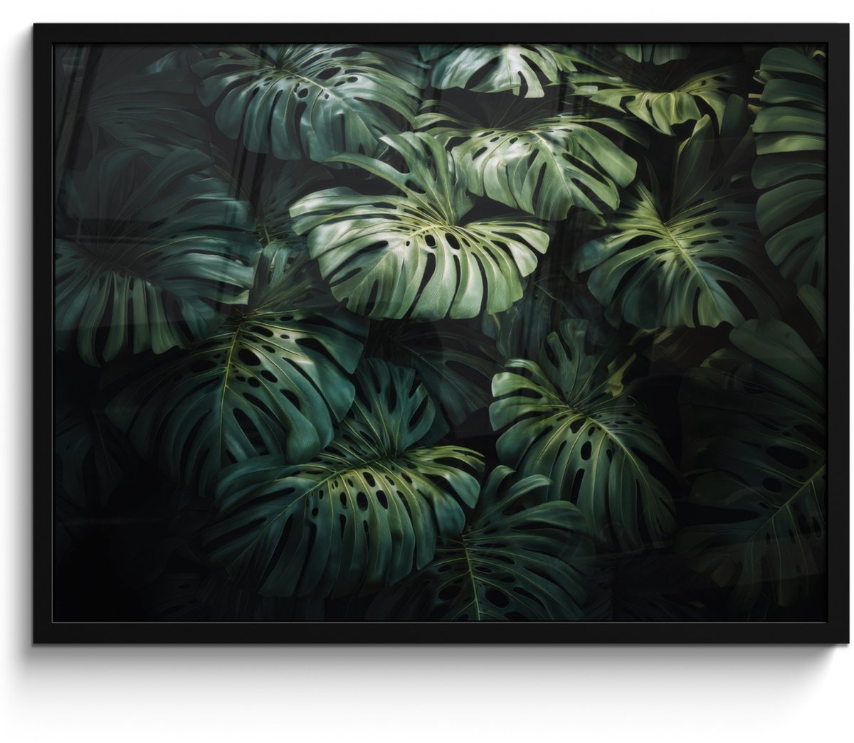 FrameYourWall Poster in lijst - Fotolijst 80x60 cm - Posters - Plant - Monstera - Lichtinval - Posterlijst zwart - Decoratie - Wanddecoratie woonkamer - Muurdecoratie slaapkamer Bladeren - Glad
